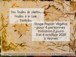 stage initiation octobre 2020